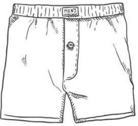Boxer